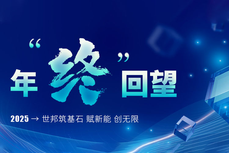 年終回望 | 2025→世邦筑基石 賦新能 創(chuàng)無(wú)限